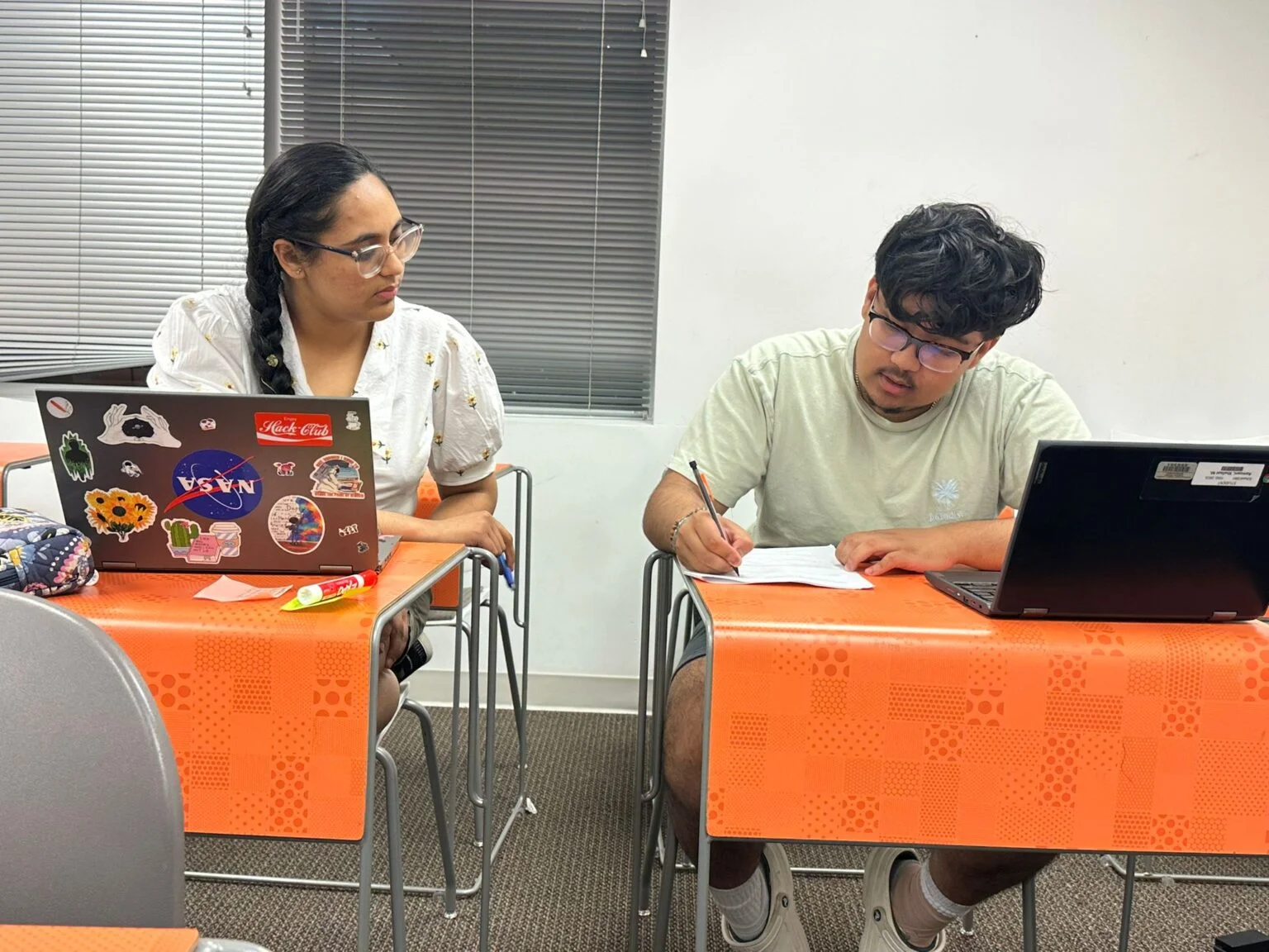 Bridging program